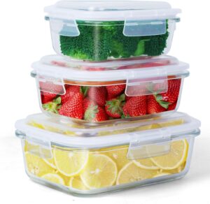 3PCS Glass Storage Containers : Airtight Bento Boxes Set with Leak Proof