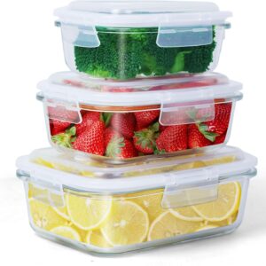 3PCS Glass Storage Containers : Airtight Bento Boxes Set with Leak Proof